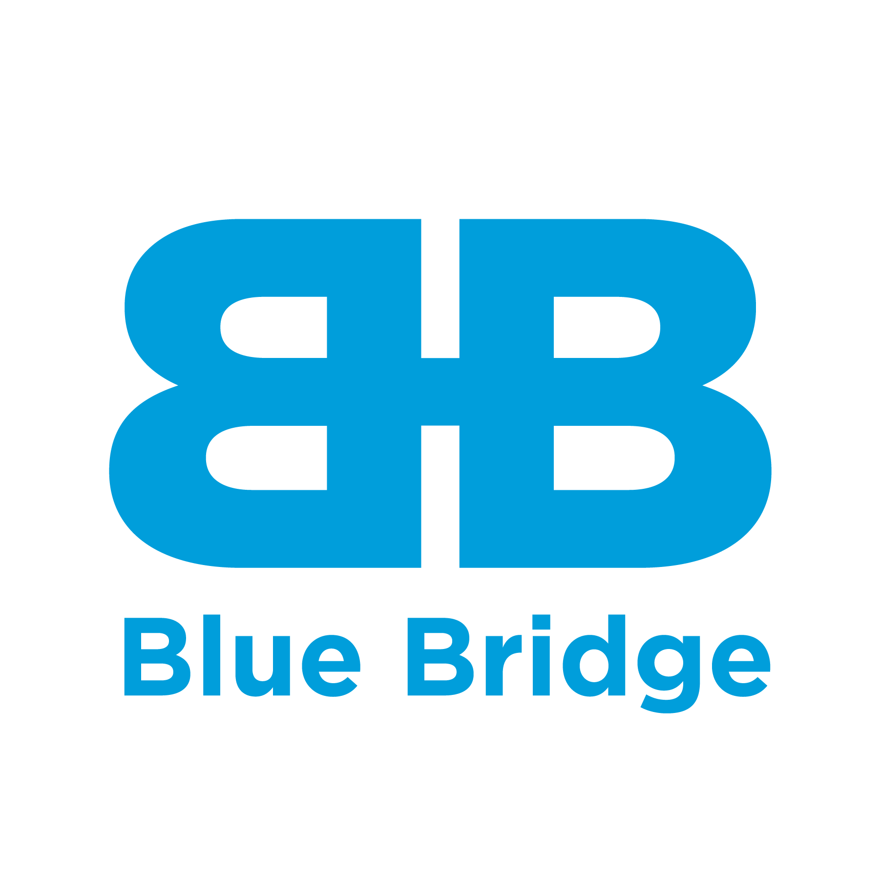 Blue Bridge Logo